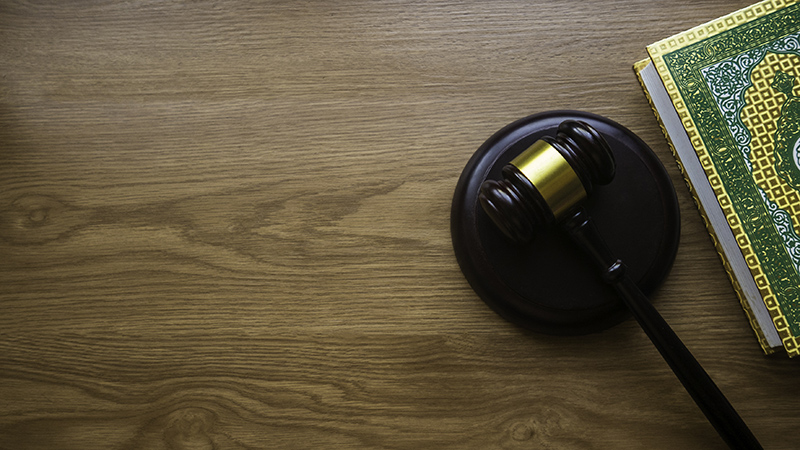 Y5/6 (A): Lesson 1: How are laws created?