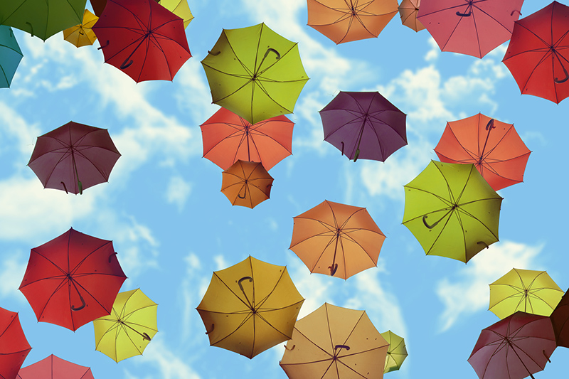 Lesson 1: Weather words