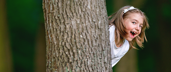 Lesson 1: Do taller trees have wider trunks?