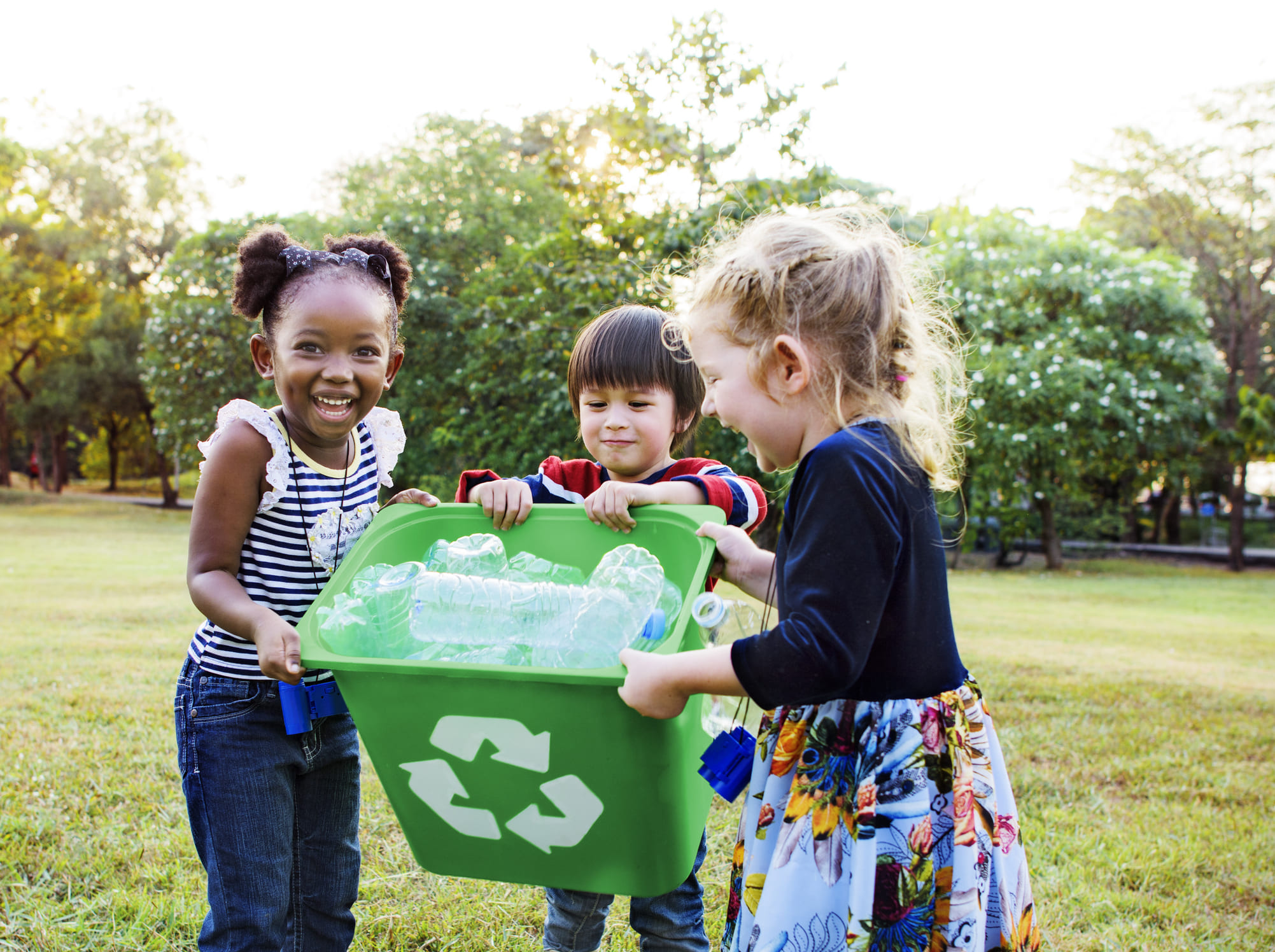 Lesson 1: Reduce, reuse, recycle
