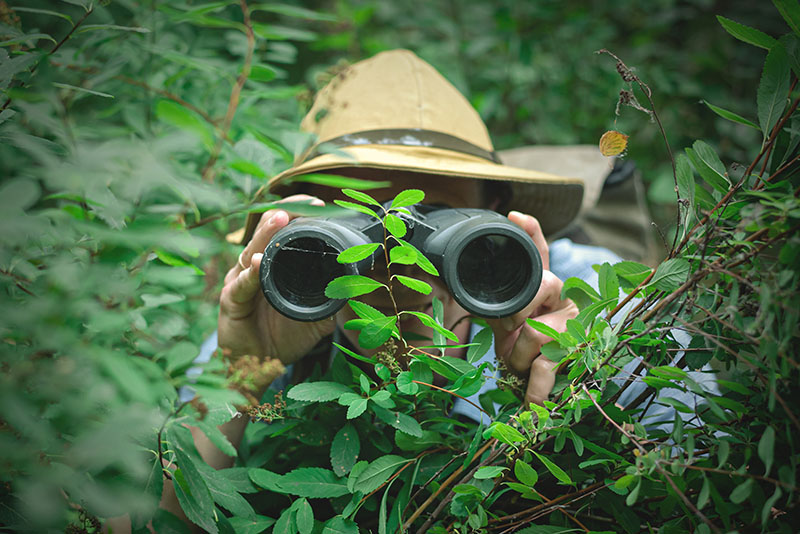 Explorer with binoculars in the Amazon rainforest
