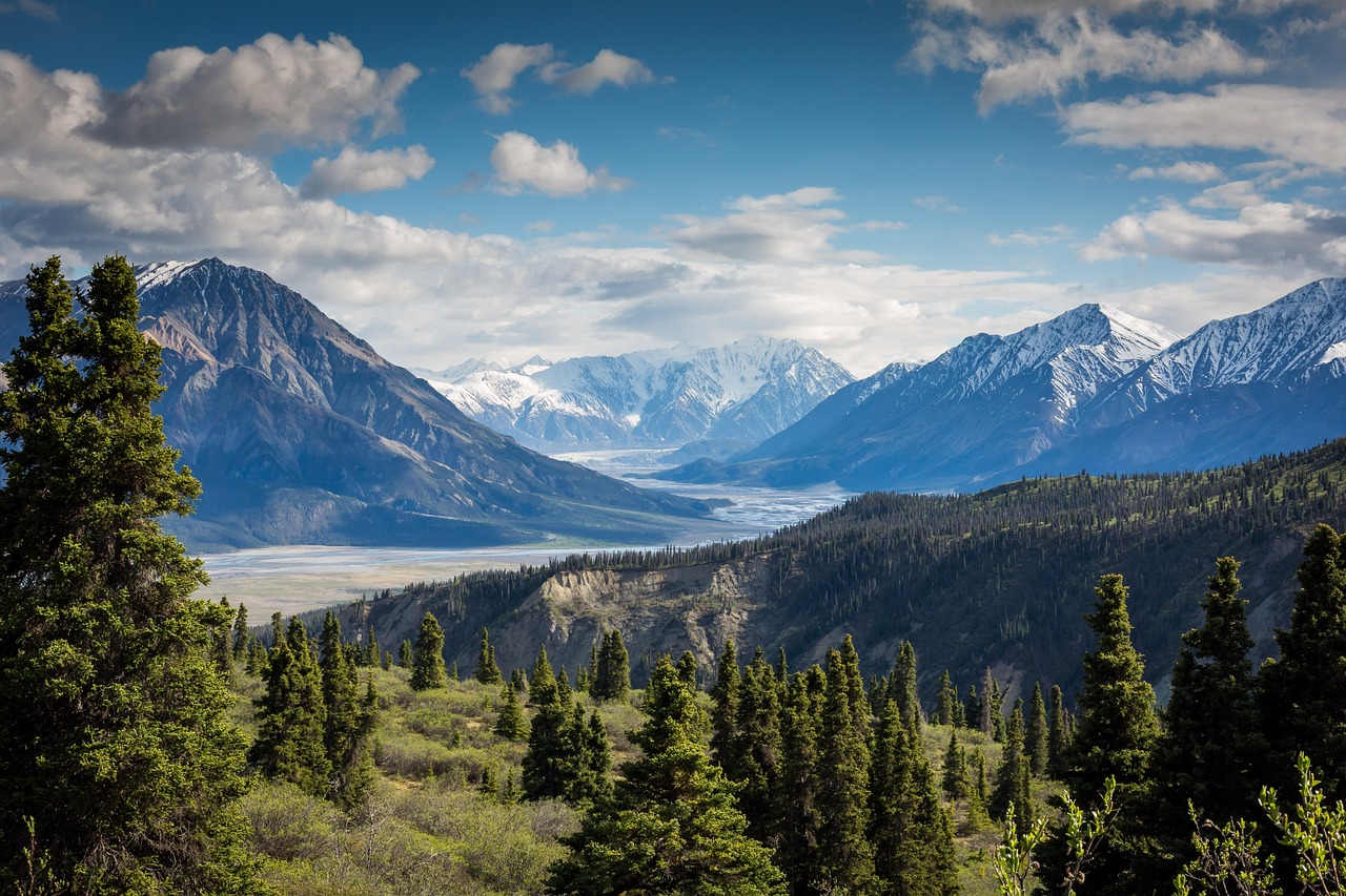 Mountain melodies: Steps and leaps