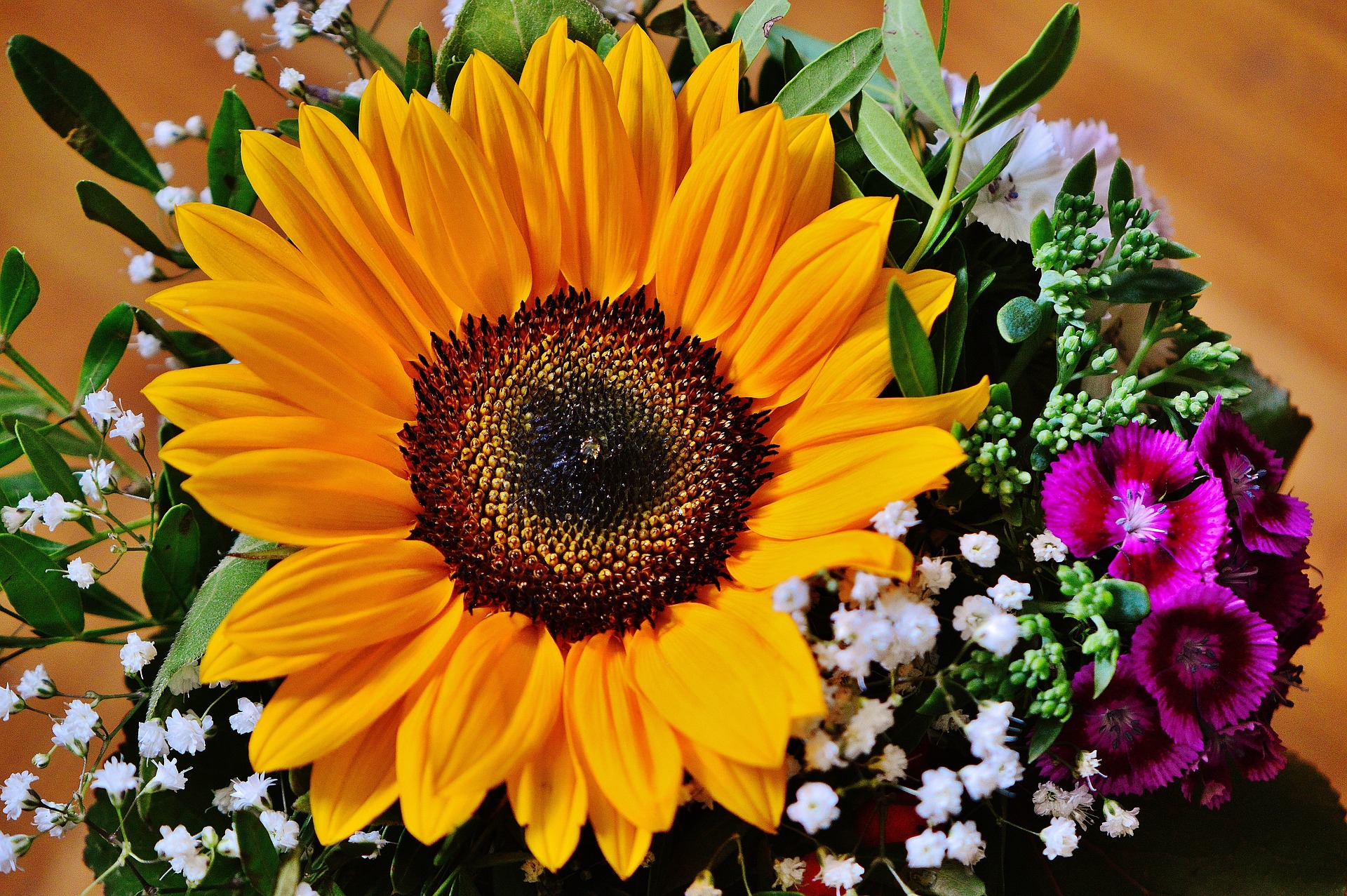 Close-up of a vibrant sunflower surrounded by smaller flowers.