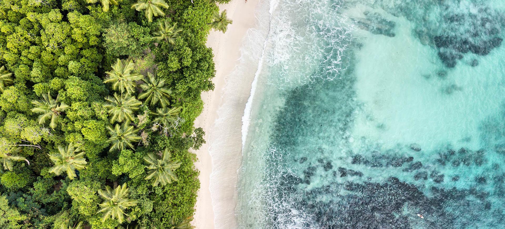 A beach with a forest behind and crystal blue water.