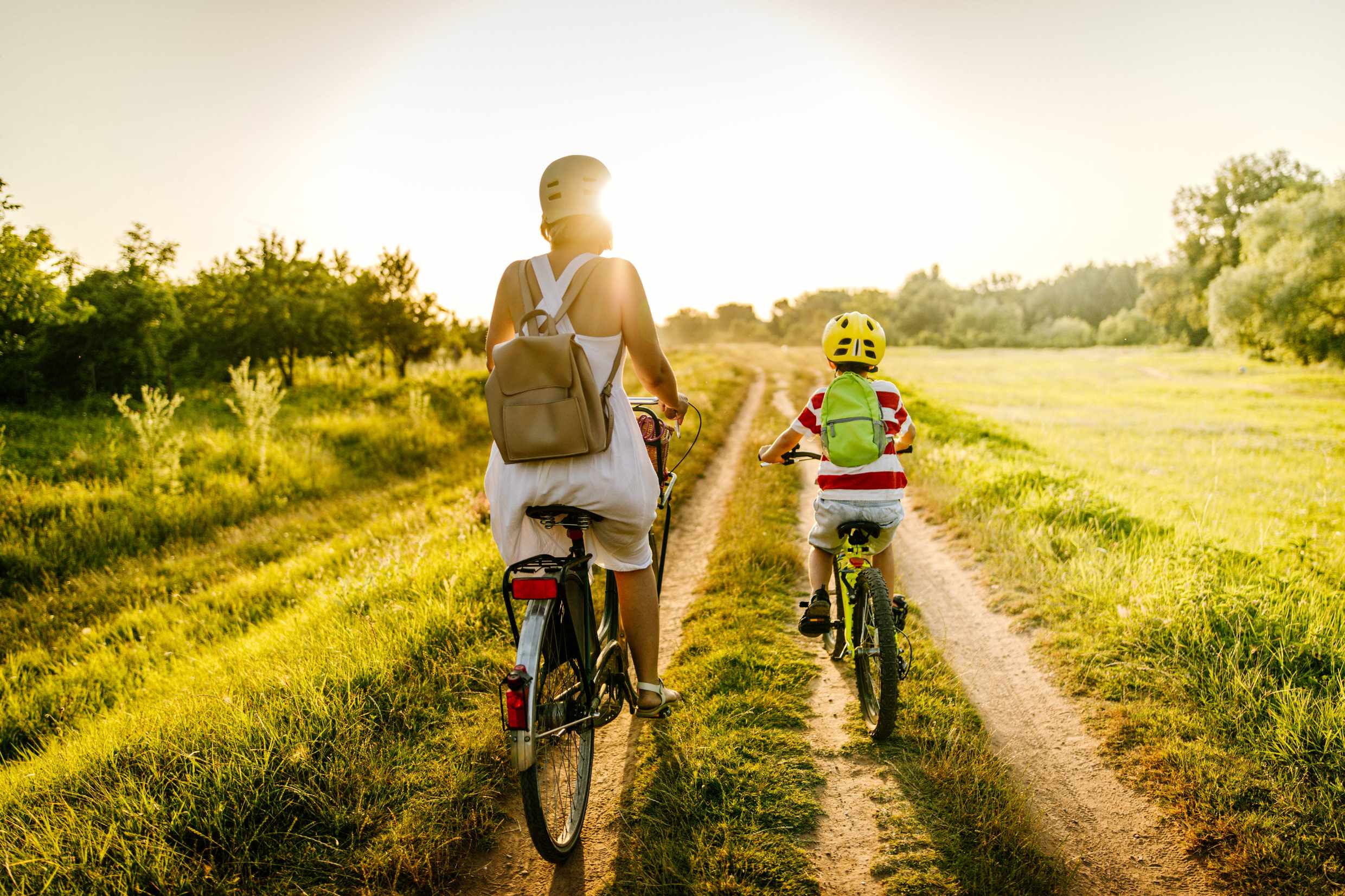 Lesson 3: What are the different types of physical activity and how do they affect us?