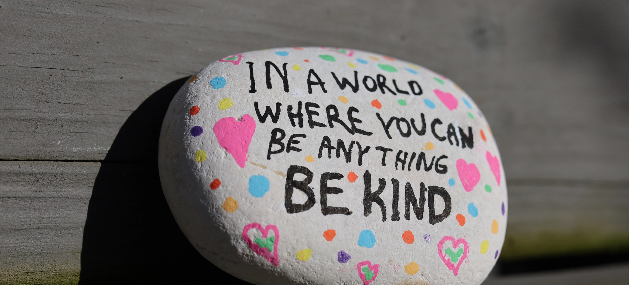 Painted rock with the words “In a world where you can be anything, be kind.”