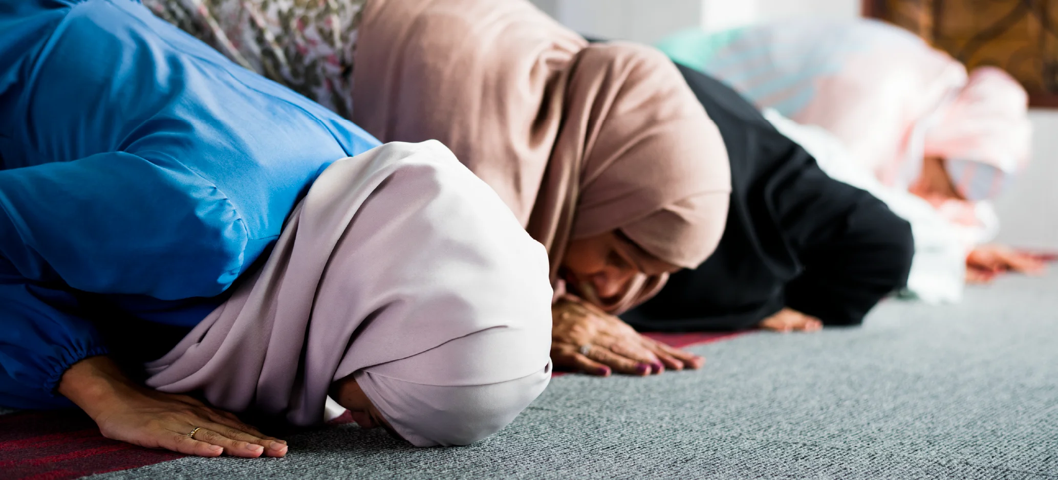 People praying with their heads bowed to the ground on a carpet.