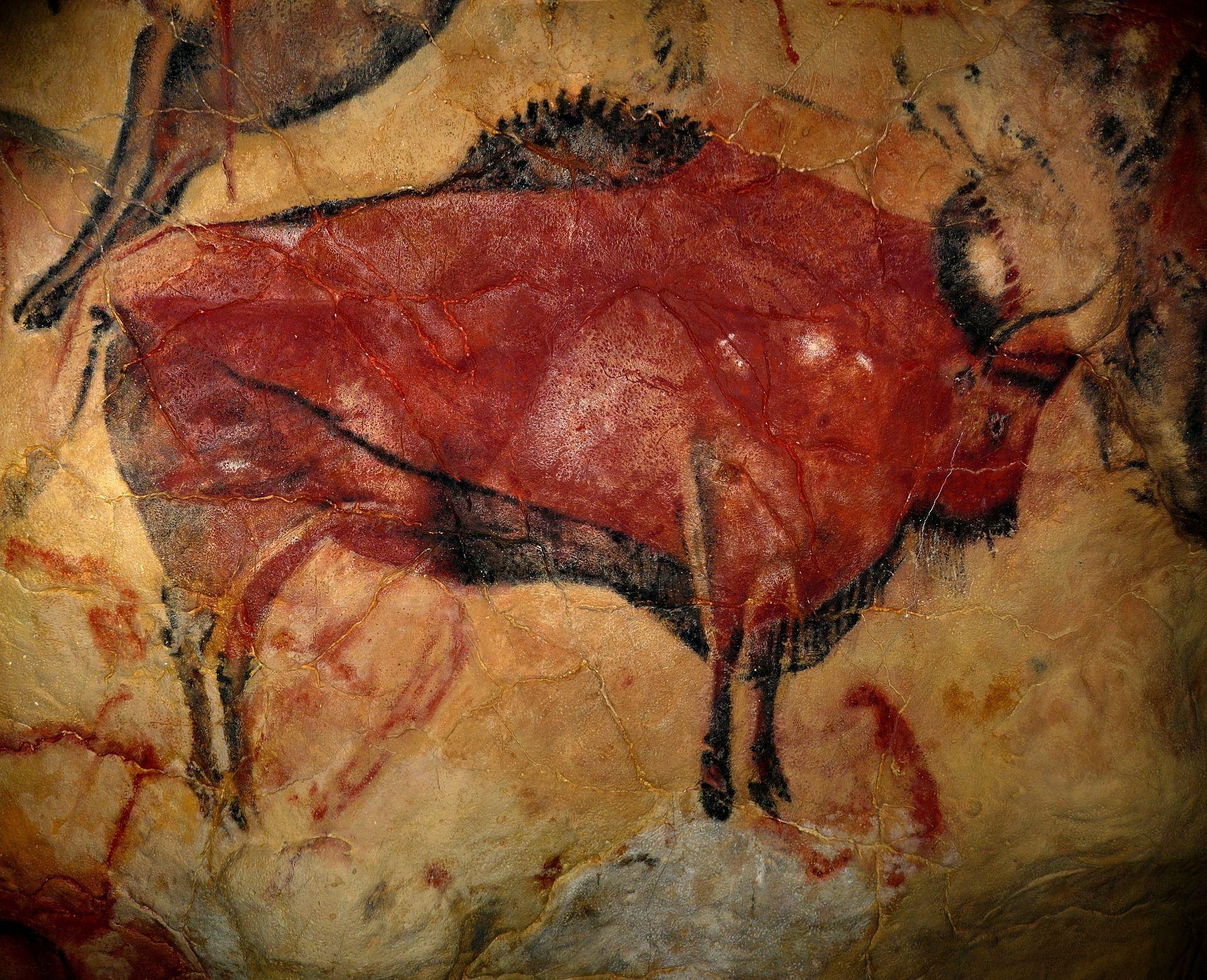 bison 1171794 1920