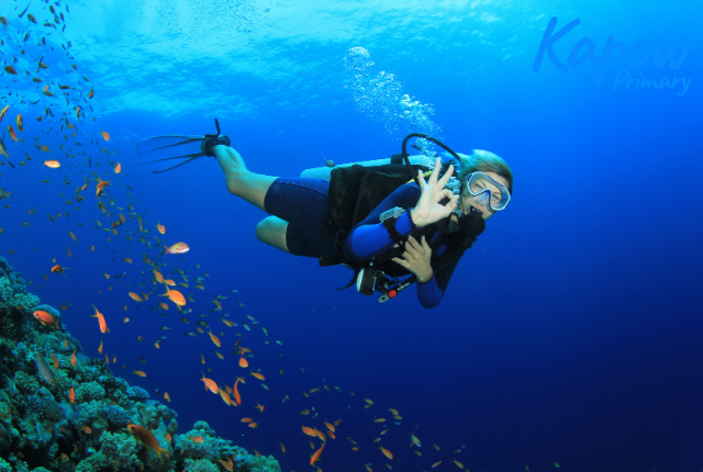 what is an Ofsted deep dive