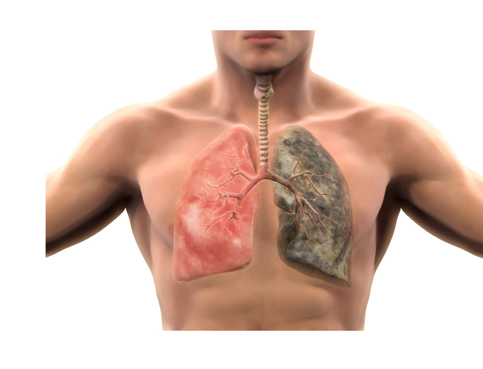 Screenshot 2020 06 18 at 11.15.15