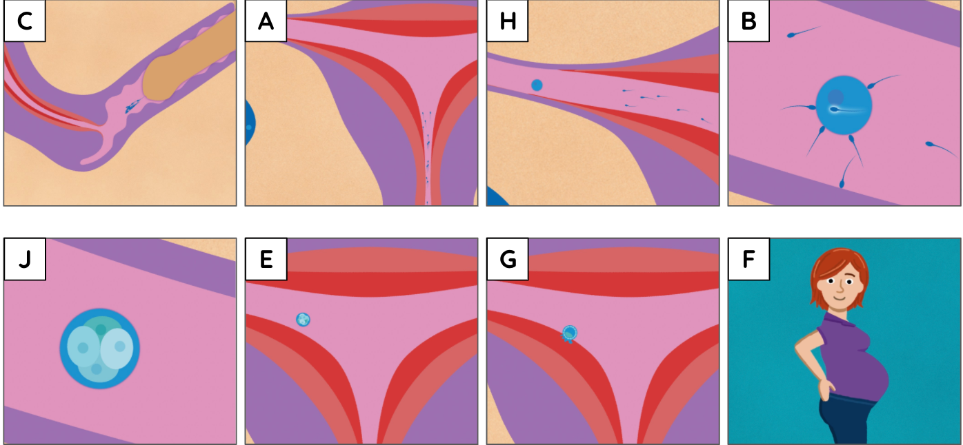 Screenshot 2020 07 14 at 08.57.59