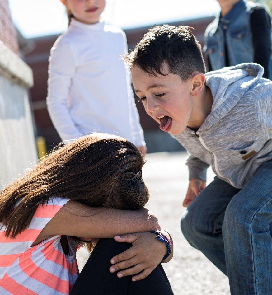 Lower KS2 RSE PSHE Lesson Plan Bullying