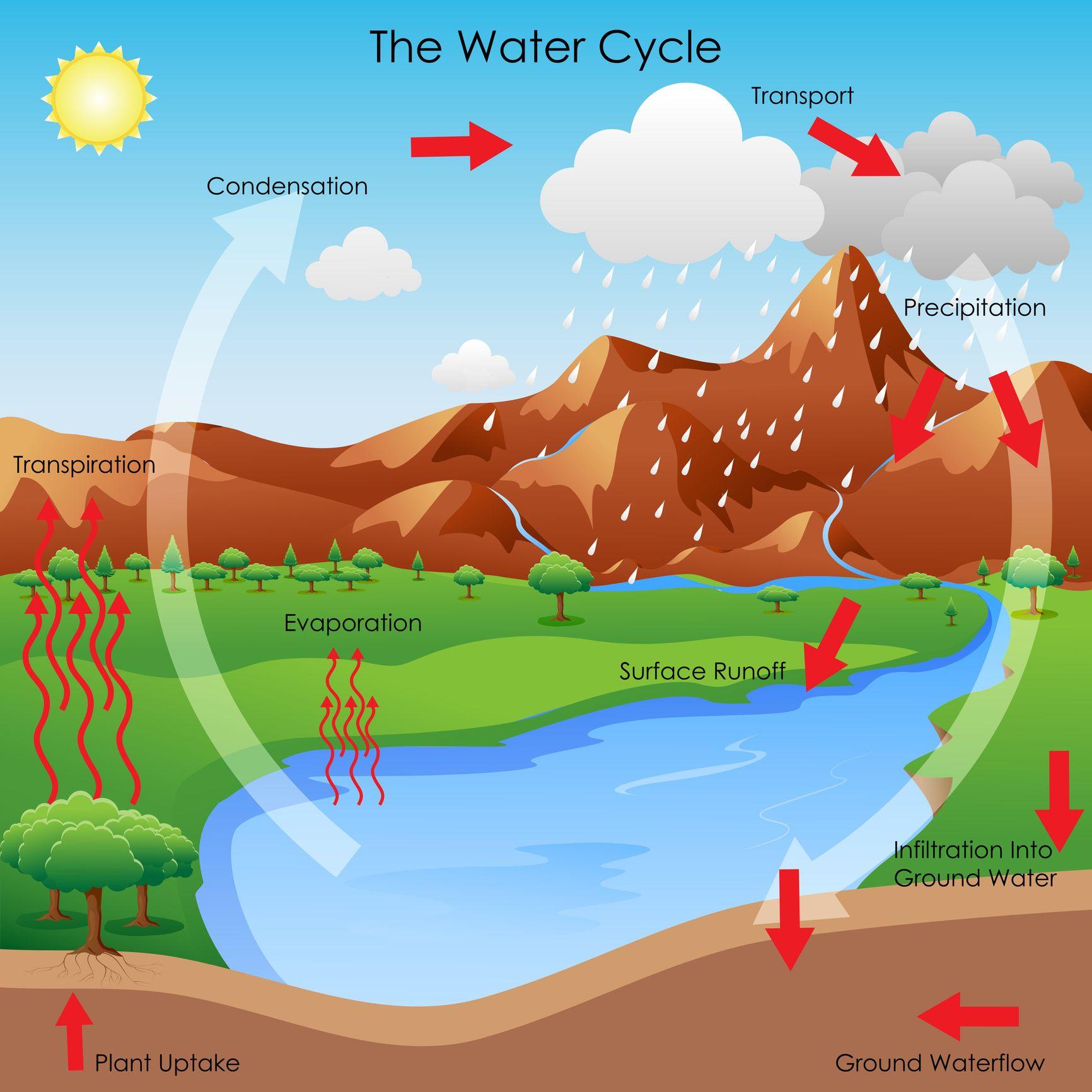 Water Cycle / File:Diagram of the water cycle including some human ...
