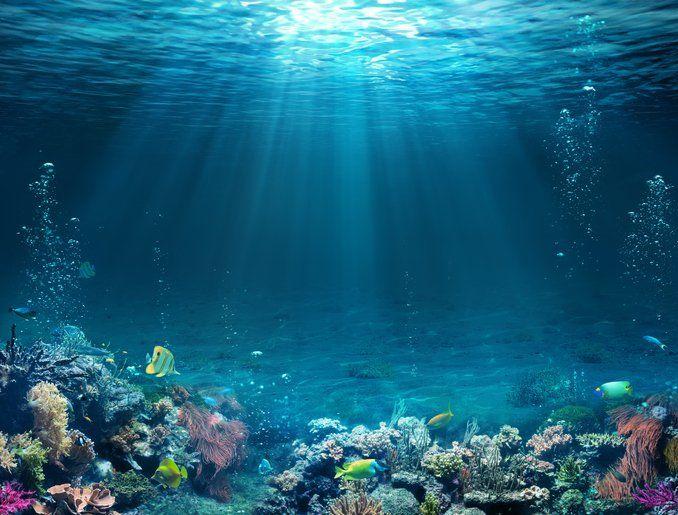 Image of an underwater scene
