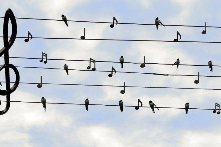 music research review