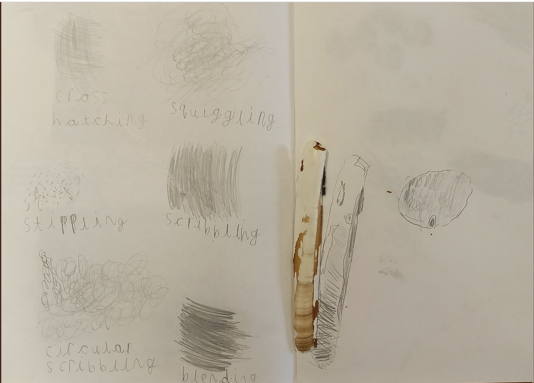 St Annes Birmingham Y1 Drawing textures 3