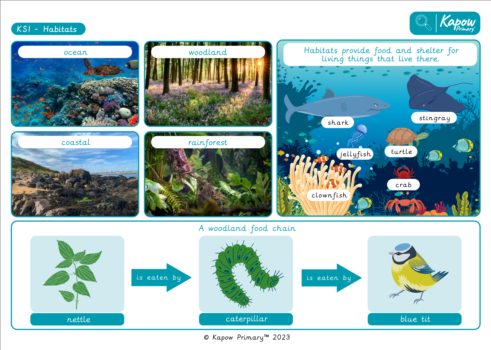 Knowledge organiser – Science Y2: Habitats