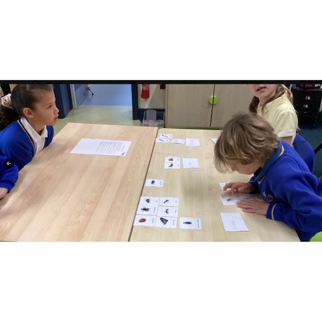 Children sorting picture cards at a classroom table.