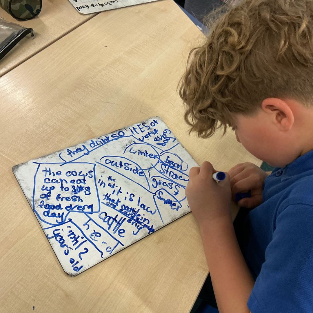 Sissinghurst Primary School, Cranbrook