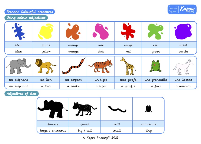 Knowledge organiser – French Y3/4: Colourful creatures