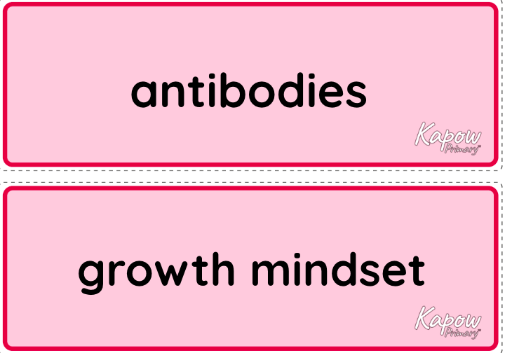 Vocabulary display – RSE & PSHE Year 6: Health and wellbeing