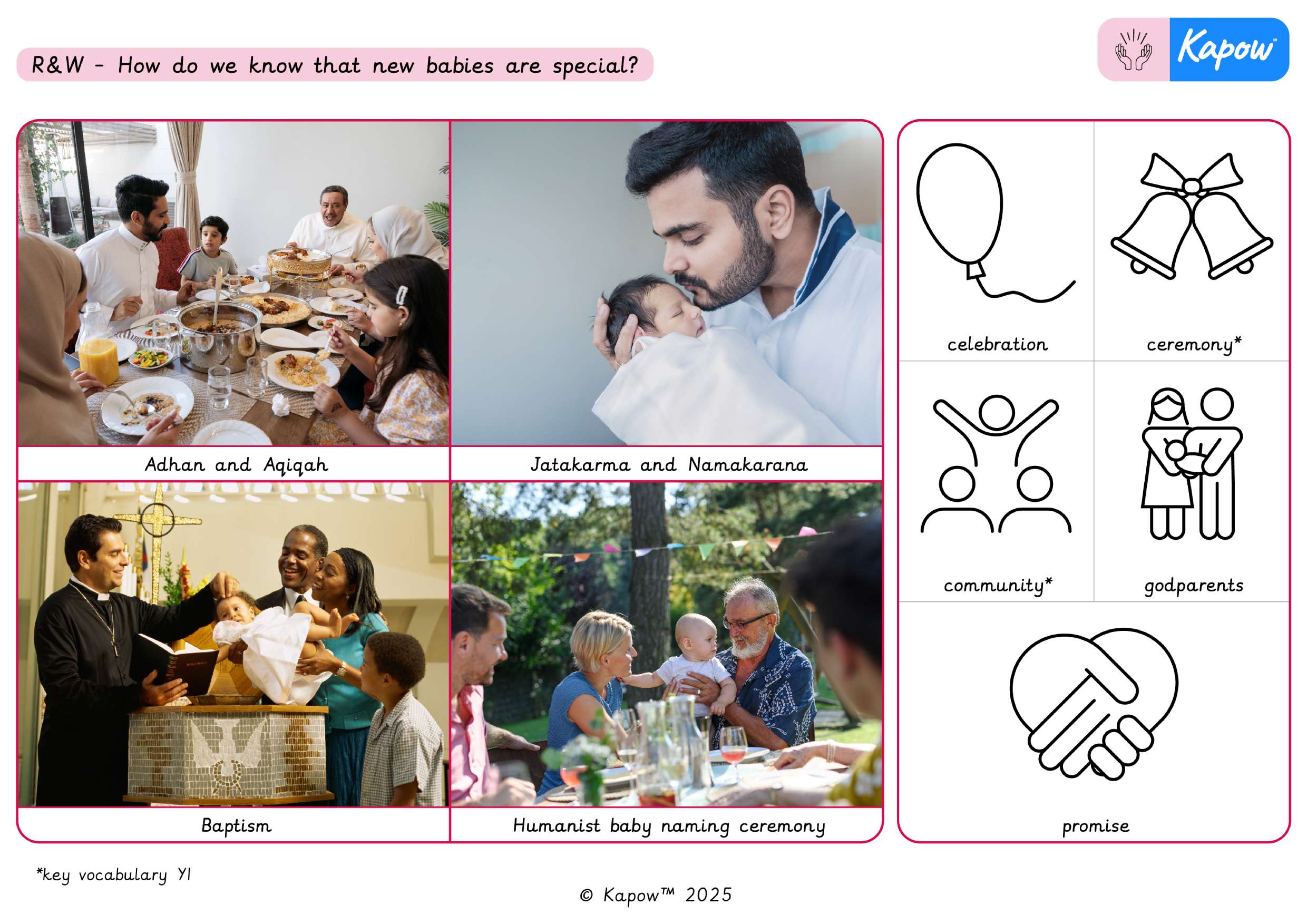 Knowledge organiser: How do we know that new babies are special?