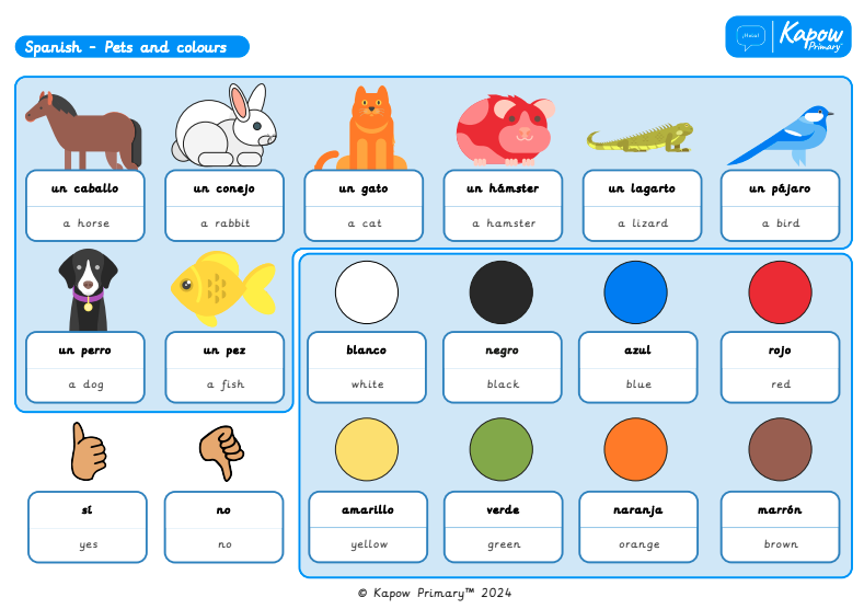Knowledge organiser – Spanish: Pets and colours.