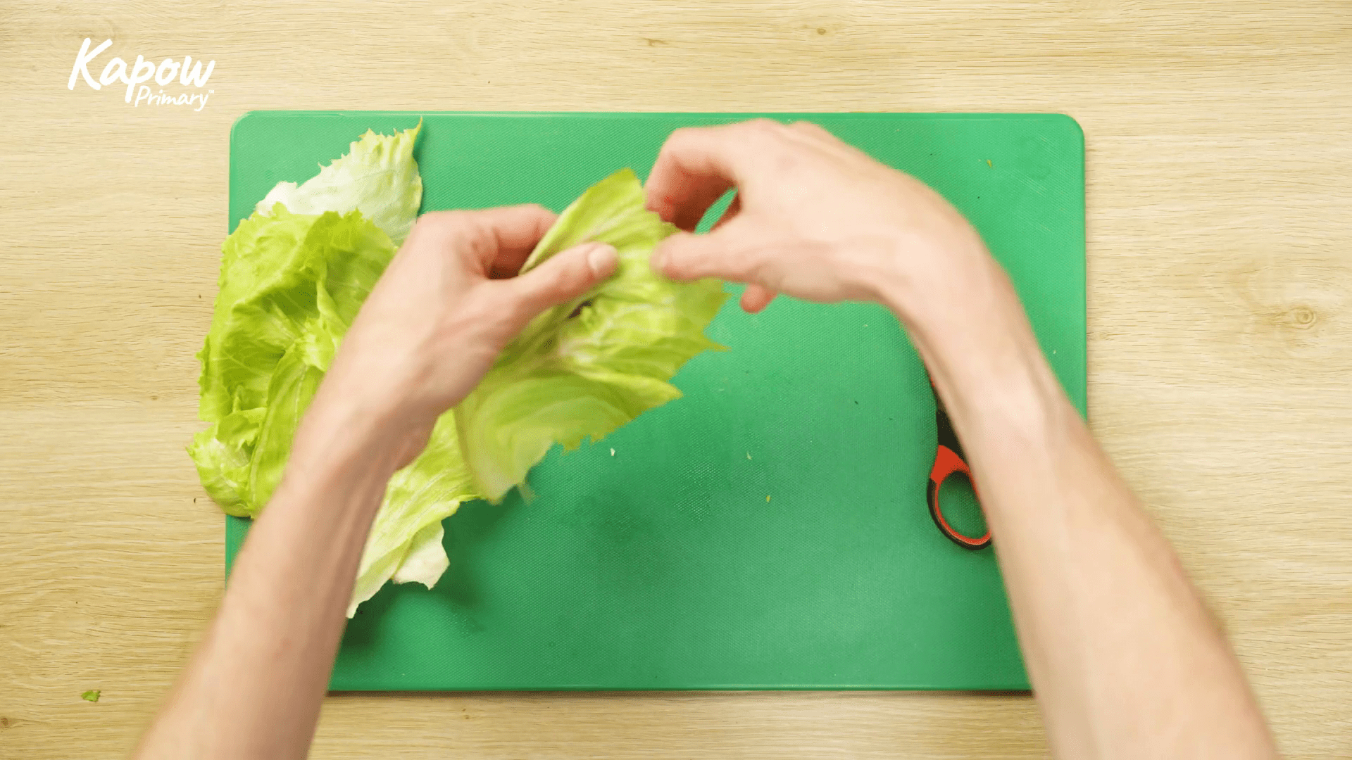 Teacher video: Food skills: Tearing and snipping