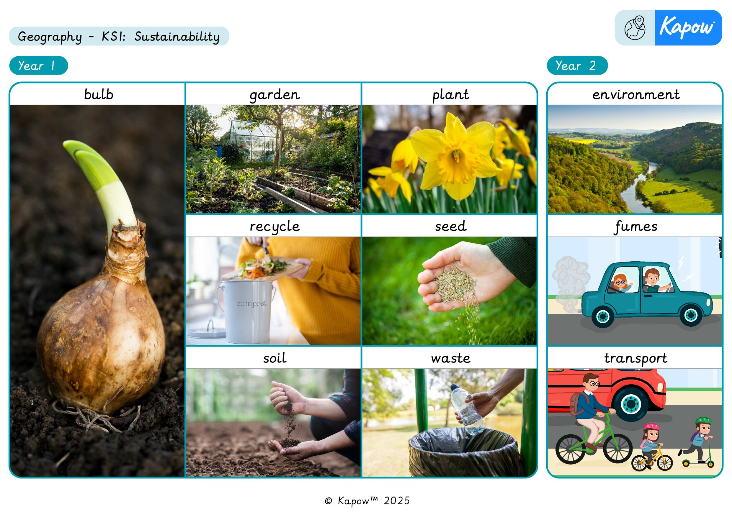 Knowledge organiser: Sustainability KS1