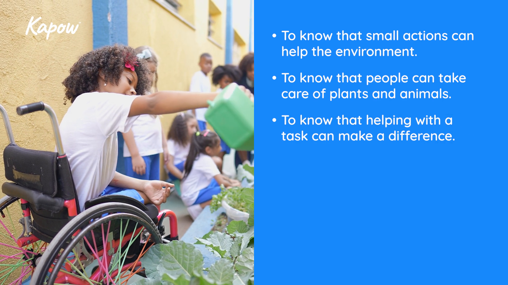 Teacher video: Whole school sustainability collection