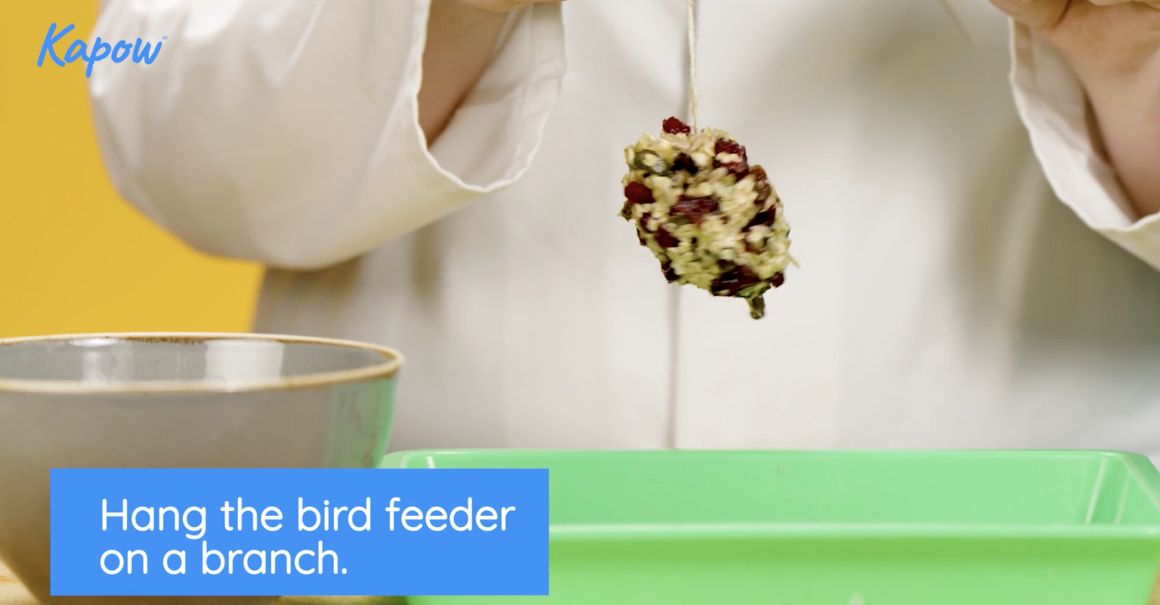 Teacher video: How to make a pine cone bird feeder