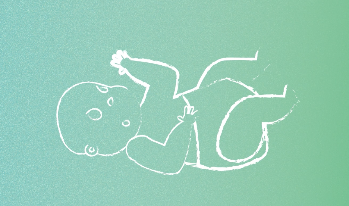 Pupil video: Puberty (with named external genitalia)