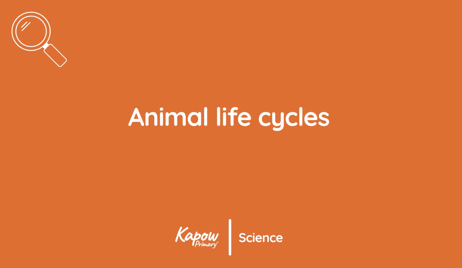 Pupil video: Animal life cycles