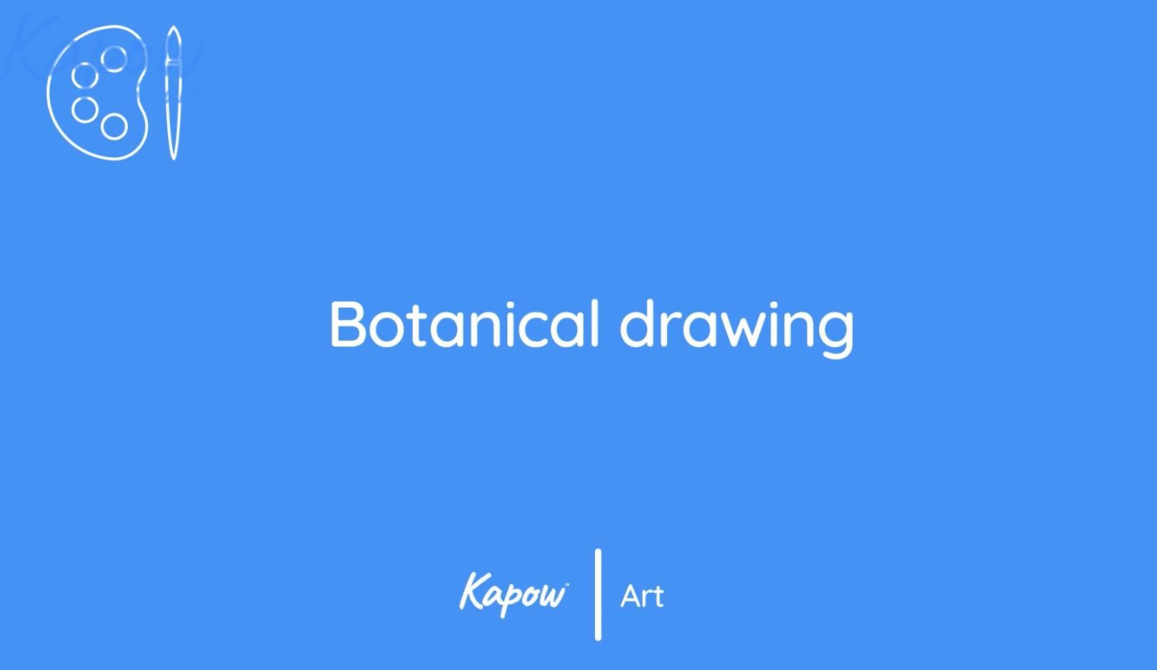 Teacher video: Botanical drawing