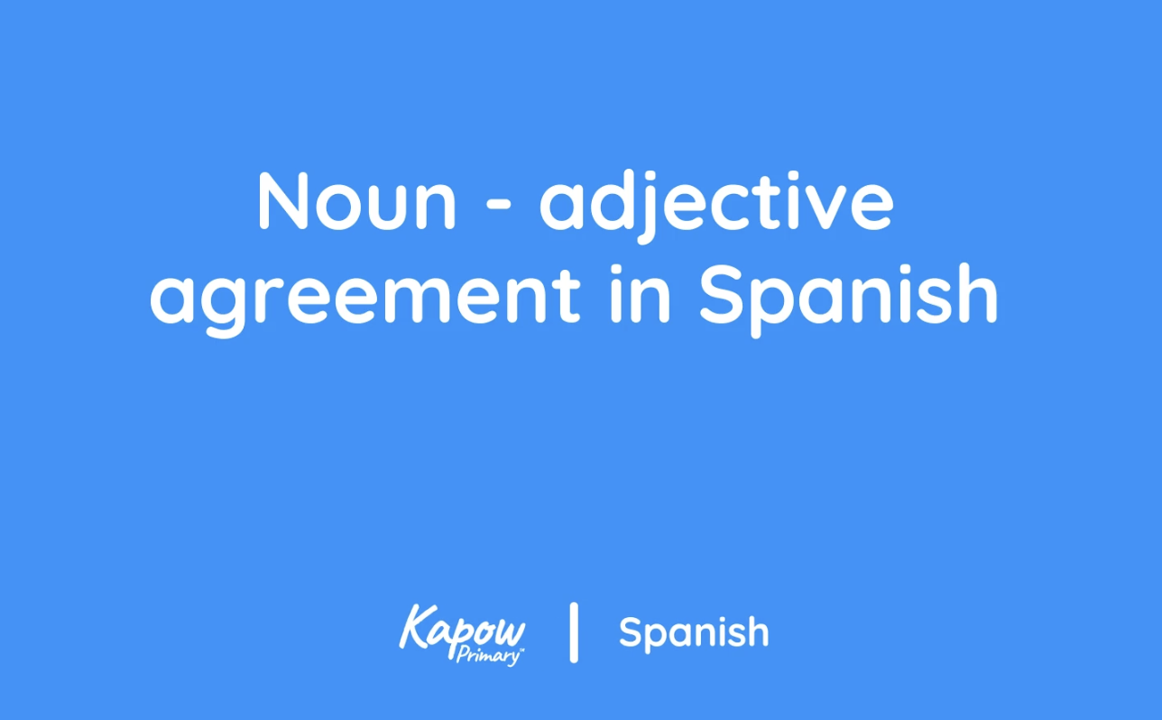 Teacher video: Noun-adjective agreement