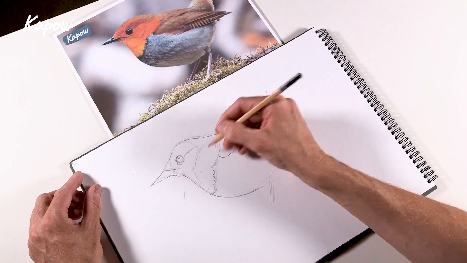 Pupil video: Prehistoric art