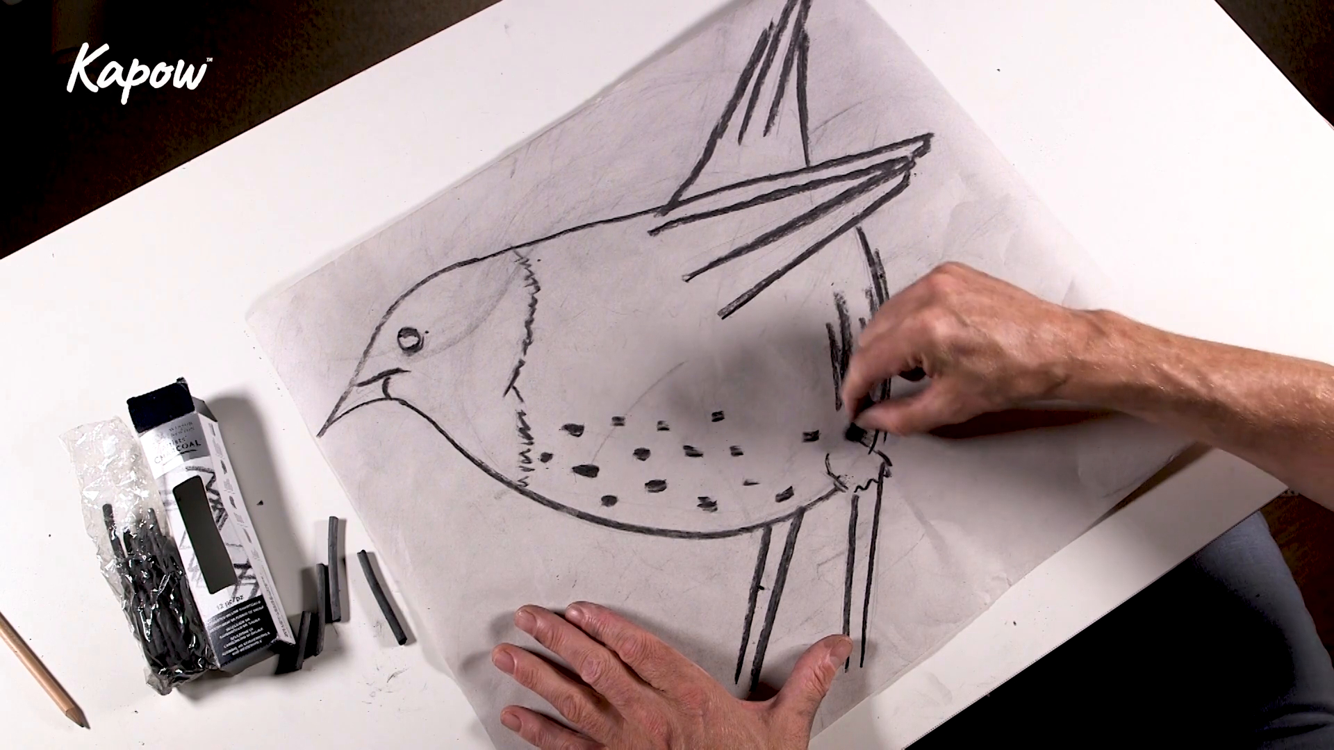 Pupil video: Charcoal animals