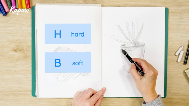 Teacher video: Drawing materials