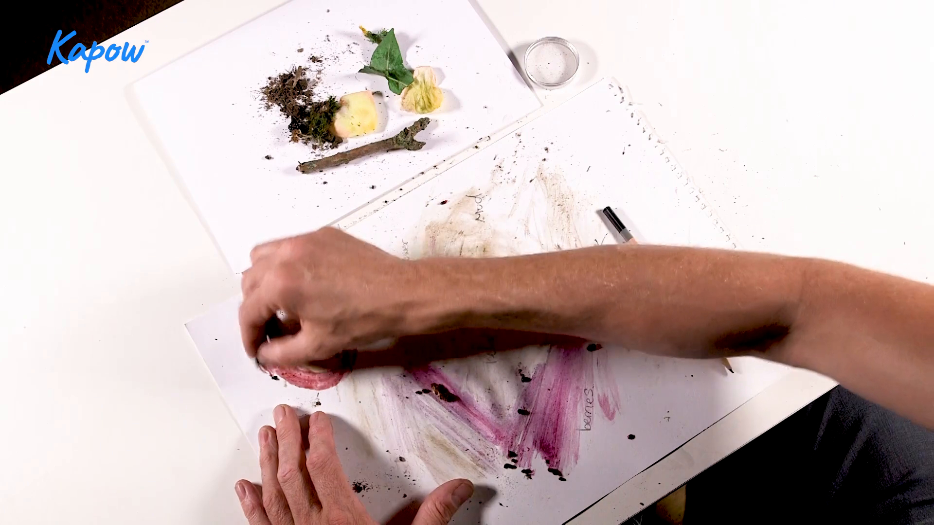 Teacher video: Prehistoric palette