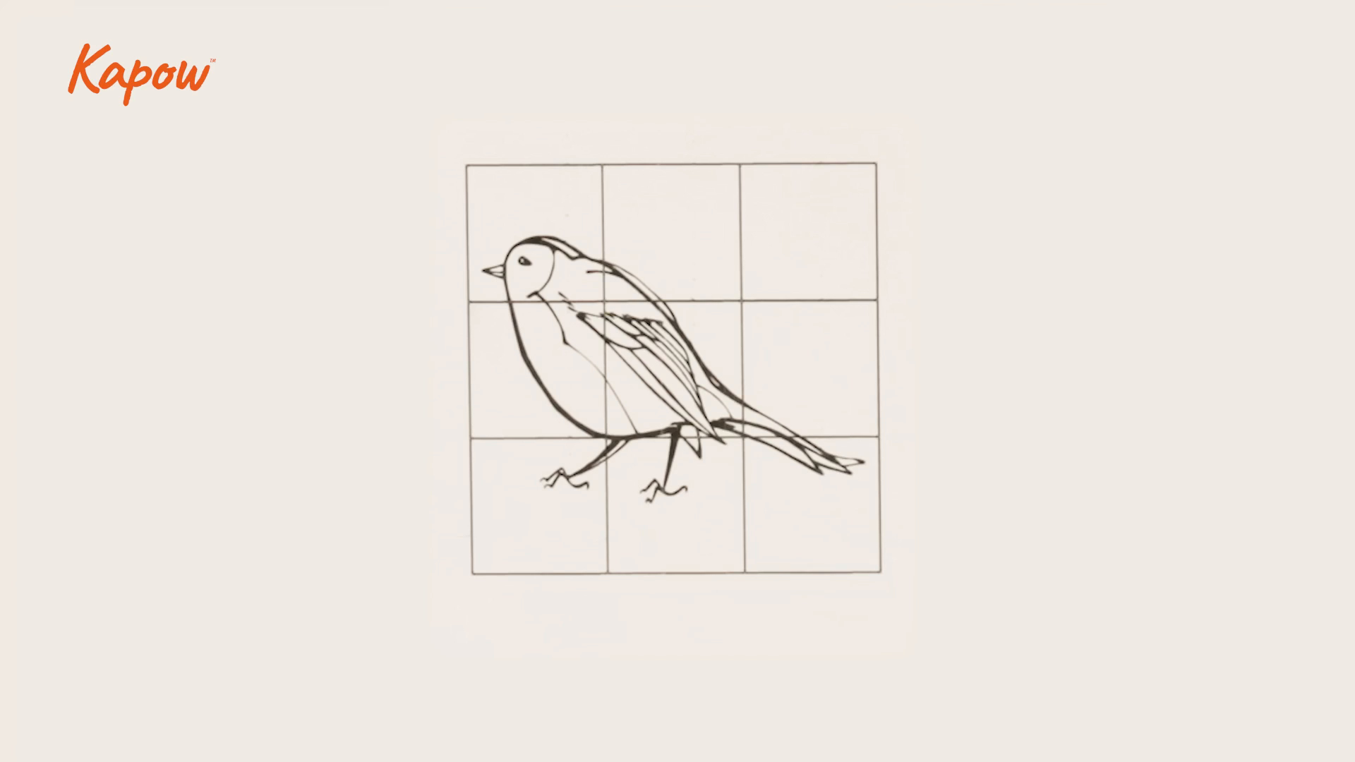 Pupil video: How to scale using a grid
