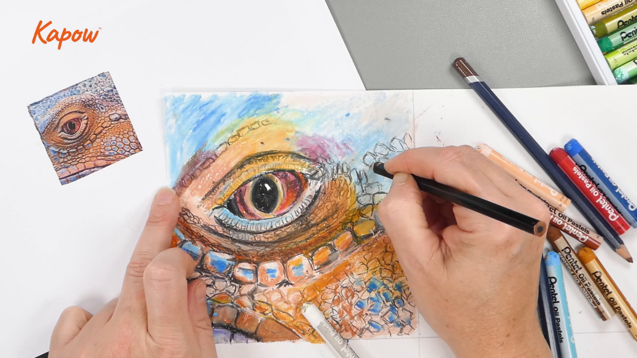 Pupil video: Abstract animal drawings