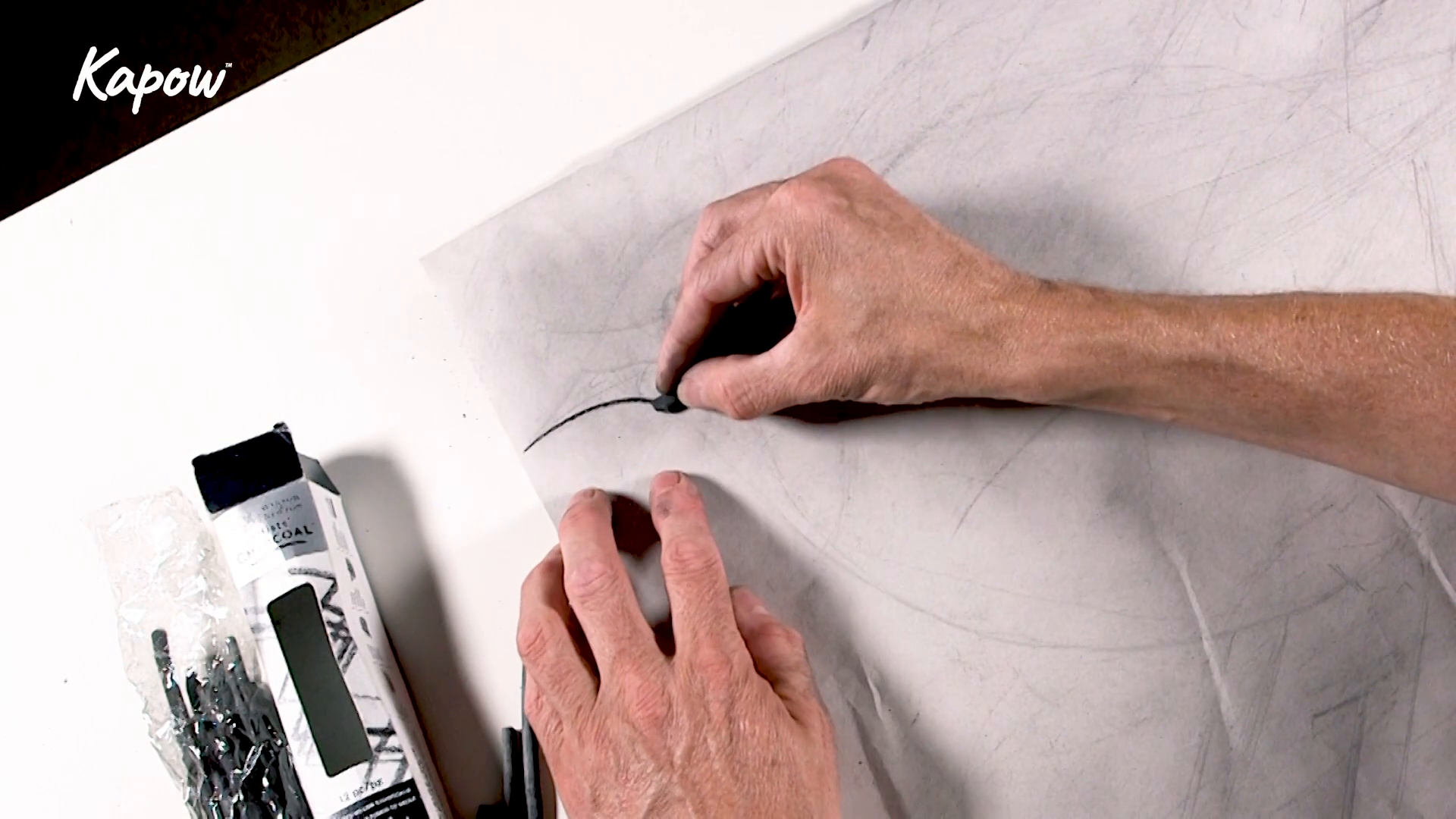 Teacher video: Charcoal animals