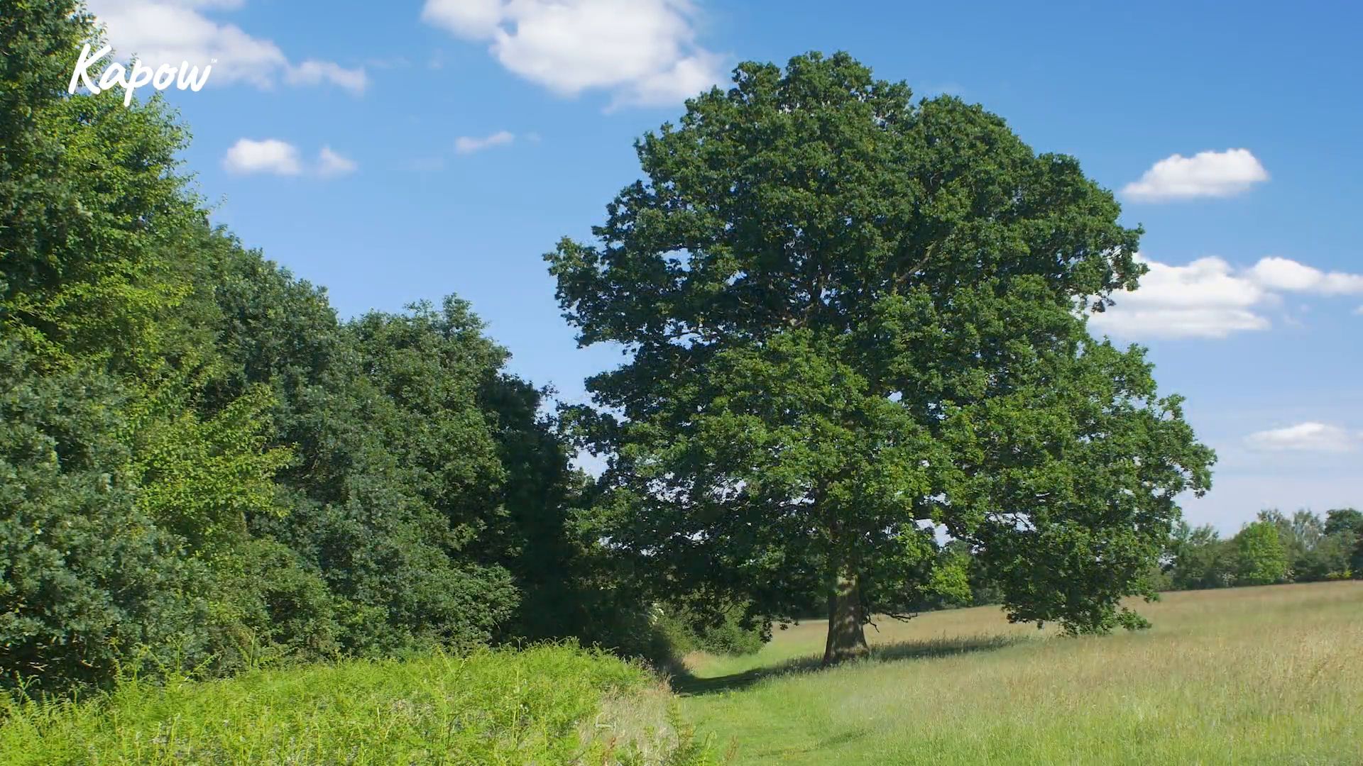 Pupil video: Weather and seasons