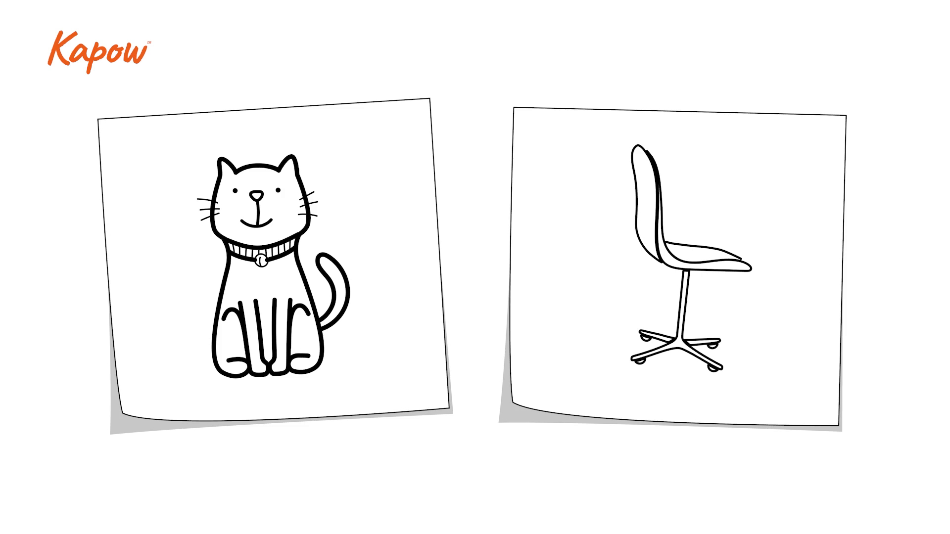 Pupil video: What is proportion?