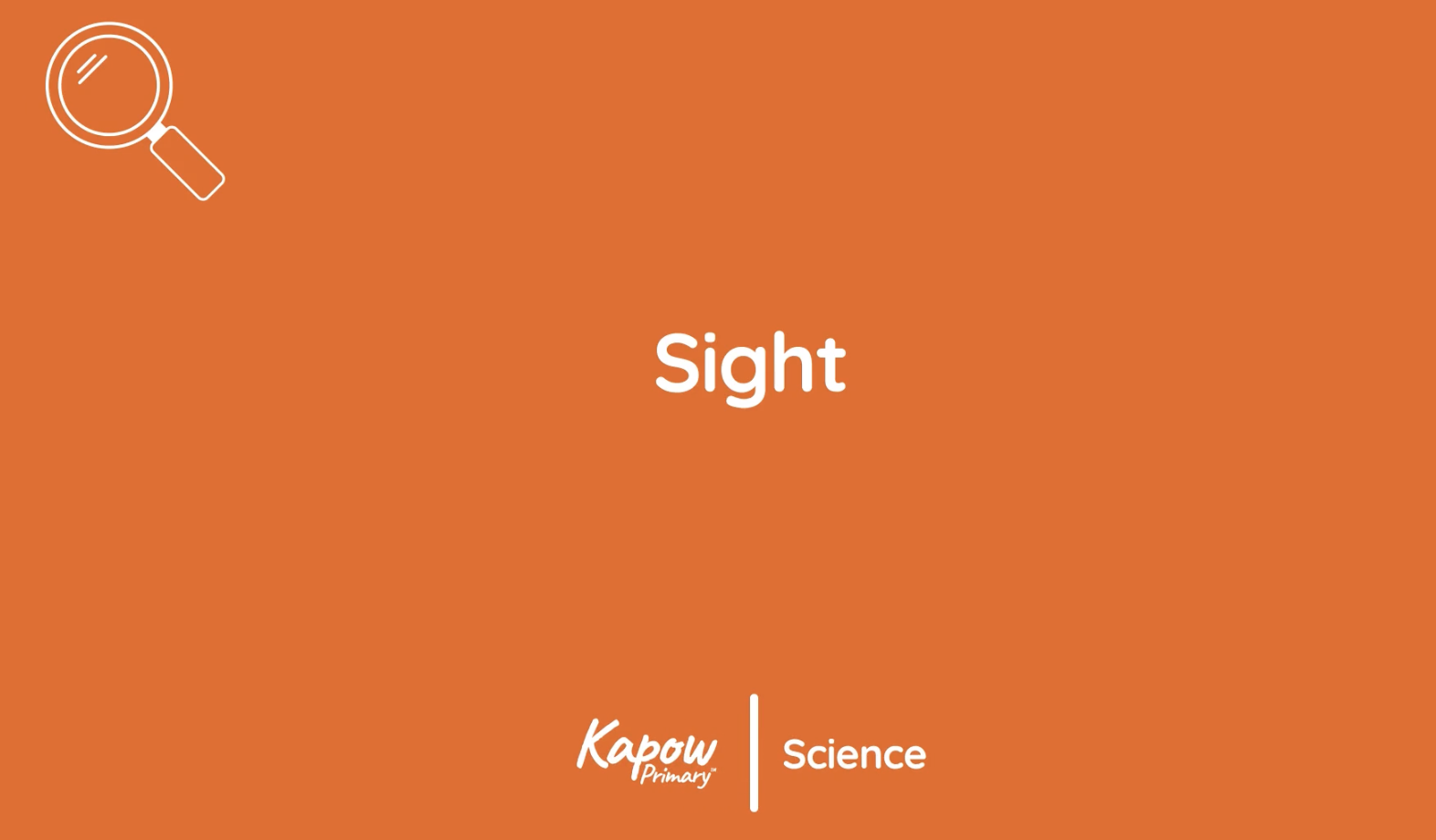 Pupil video: Sight