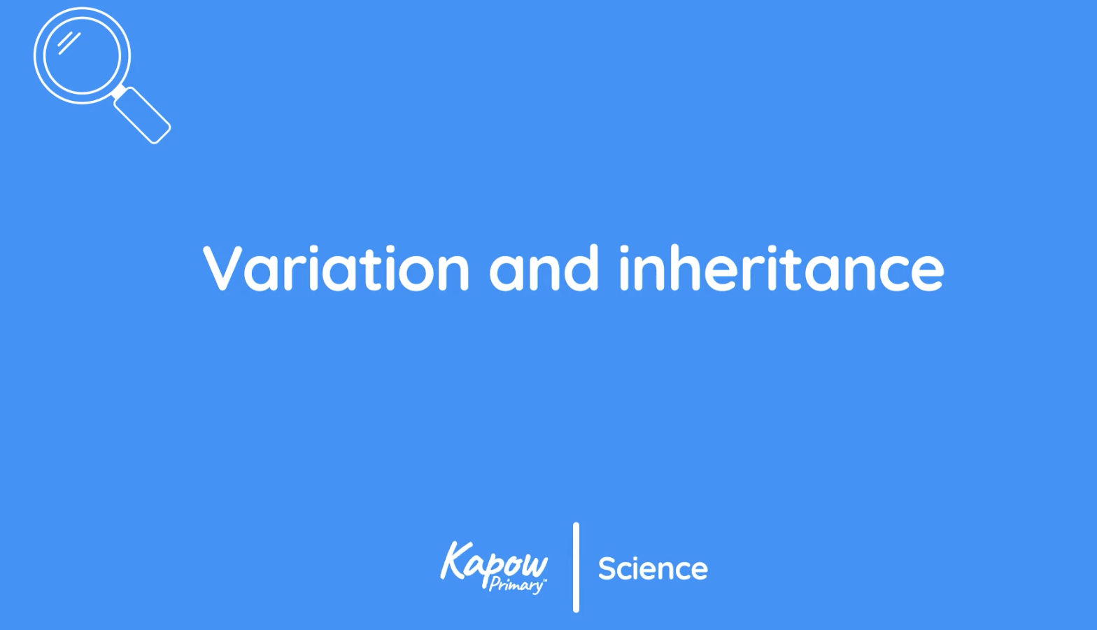 Teacher video: Variation and inheritance