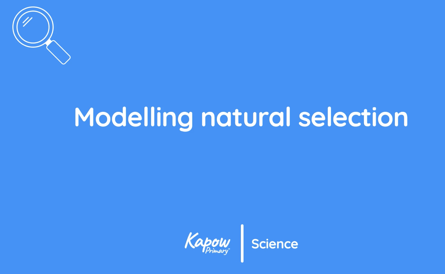 Teacher video: Modelling natural selection
