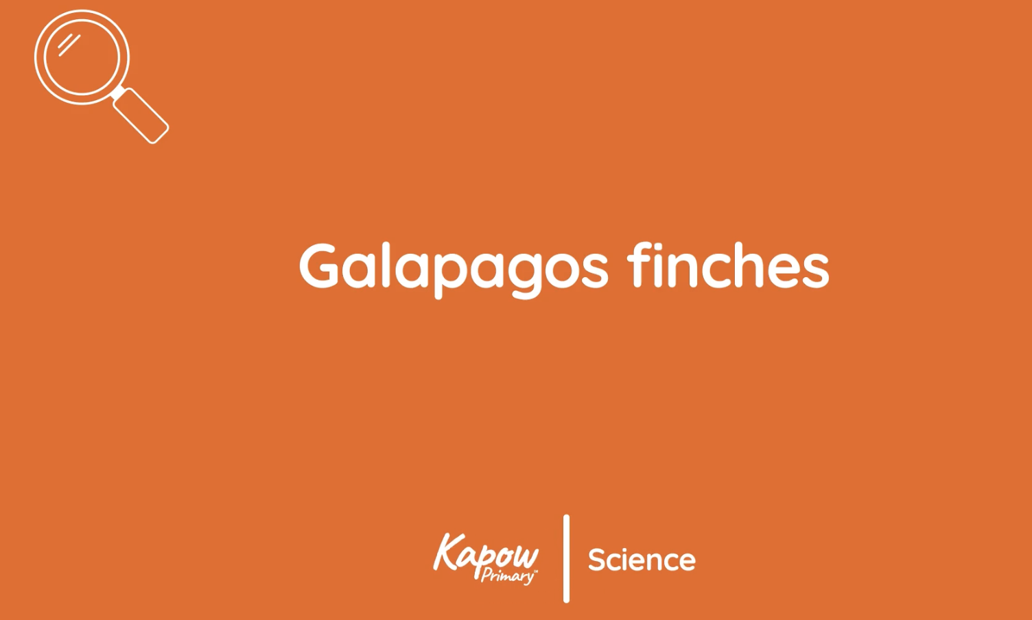 Pupil video: Galapagos finches
