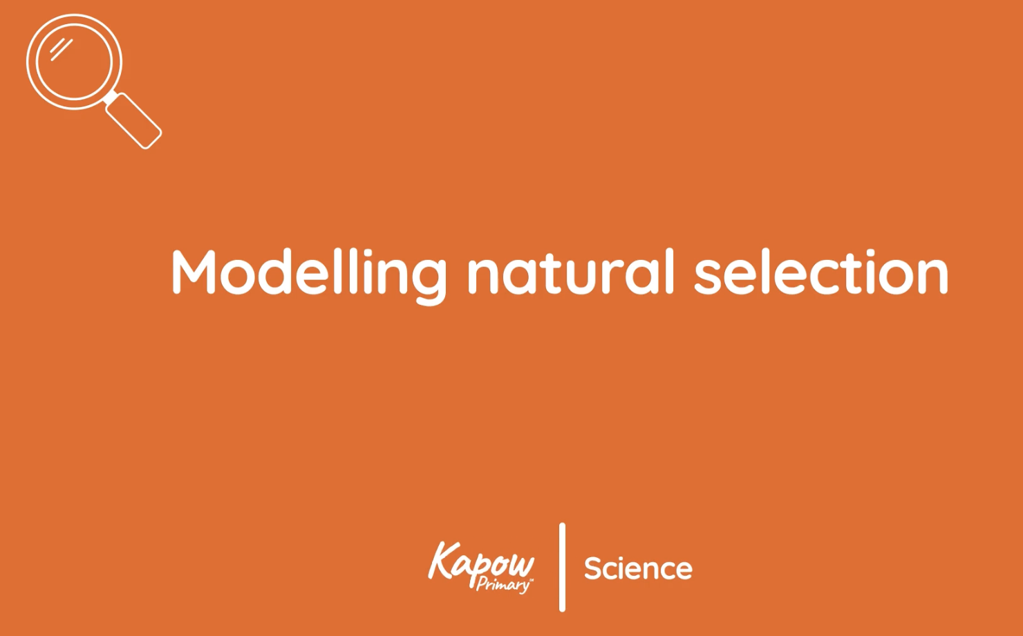 Pupil video: Modelling natural selection