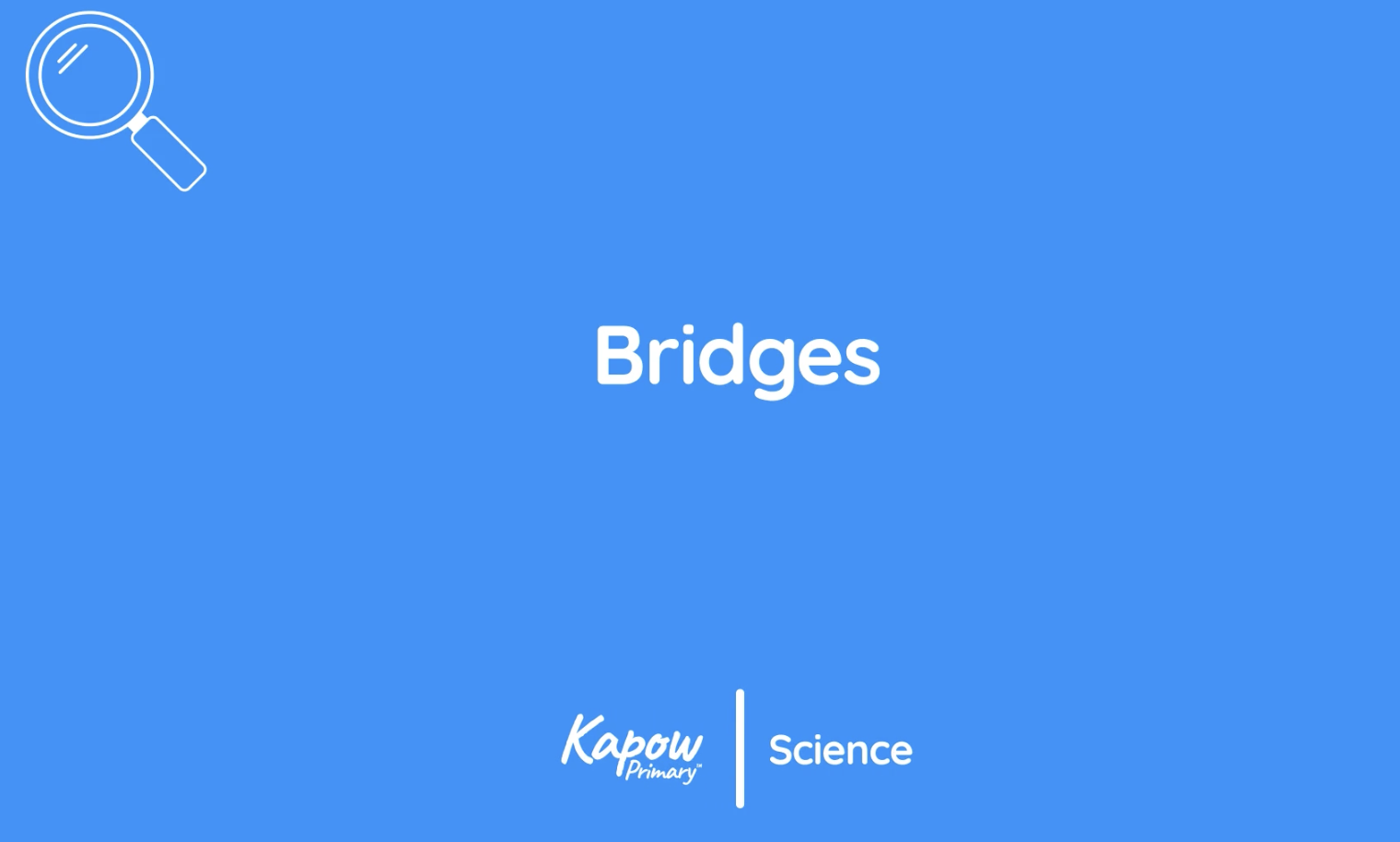 Pupil video: Bridges
